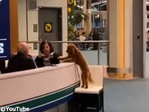 ���֥ϥ����Ƥ�館�ޤ��󤫡���00