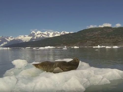 �������Υ����饷��ä����ȡĤ���ʥꥢ�������򤹤롪��04