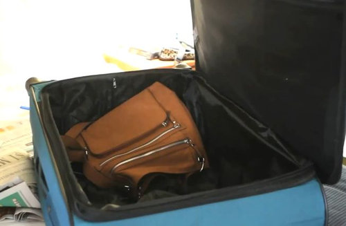 スーツケース猫01