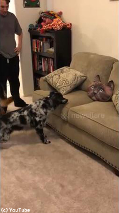 ǭ���å������ݤ��븤���襤��03