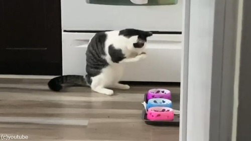 ���饤���ޤߤ����ˤ��Ӥ򿩤٤�ǭ03