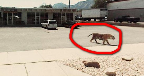 楽しいストリートビュー15