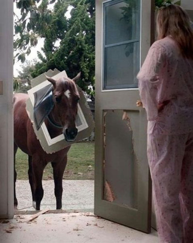 イタズラ動物07