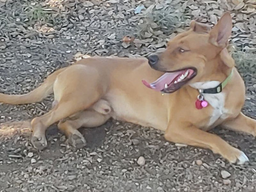 ����ͷ������03