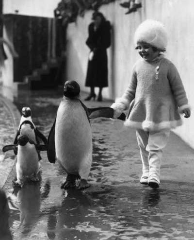 08フレンズ・仲良しな動物たち