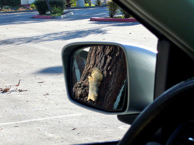 �����ɥߥ顼�ηʿ�17