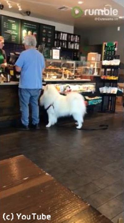 コーヒーショップのかわいいお客さん01