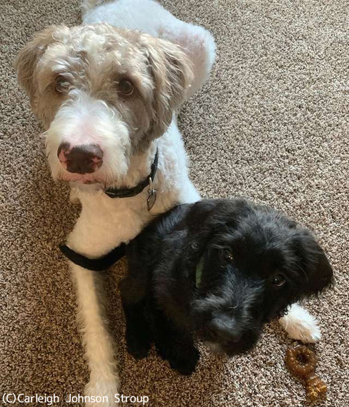 ڥåȤޤˡ轻ڥåȤ̤Ƥ٤ͳ05