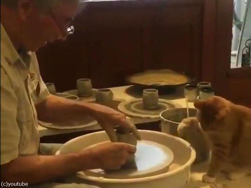 おじいちゃんが回すろくろを前足でタッチする猫 これは予想できなかった 動画 らばq おじいちゃんが回すろくろを前足でタッチする猫 これは予想できなかった 動画 らばq