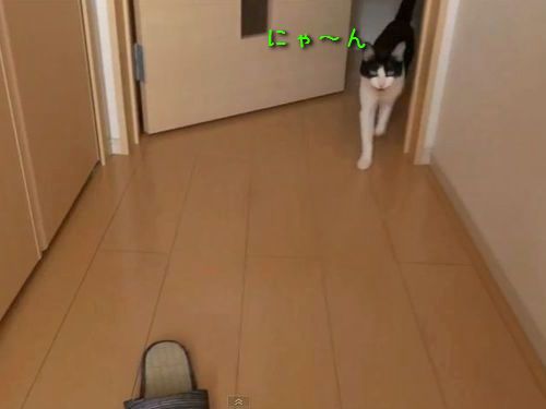 ���س�������2�äǤˤ��