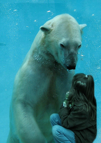 クマと少女とカエル05