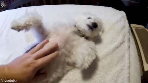 ����Ǥơץ��ԡ��뤬�䤱�˷㤷�����05