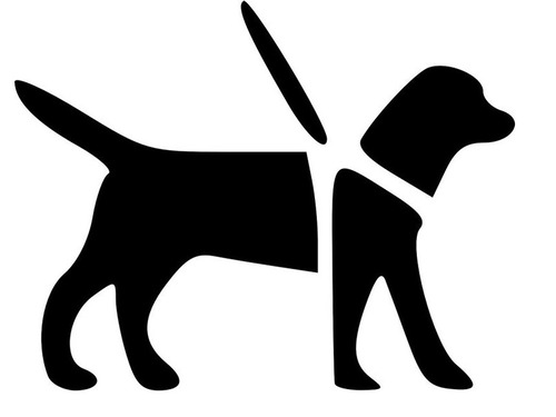 盲導犬がお疲れなとき