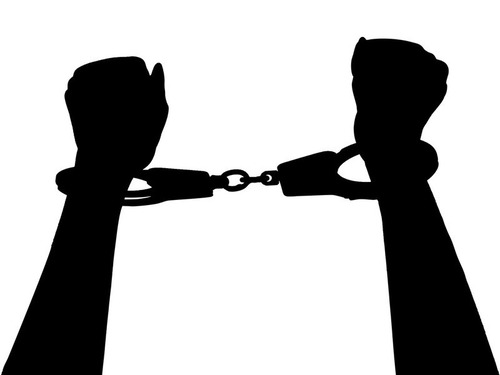 逮捕されるときに、猫に座られたら