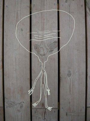 ���異����04