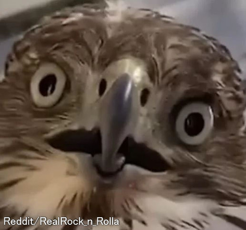 �������Ȥ���������ȴ�����ʤ��ʤäƤ���01