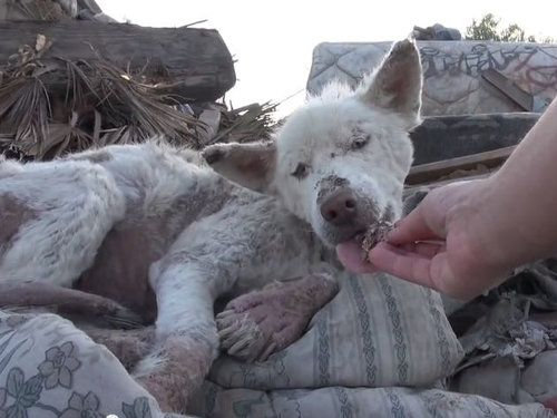 ���ߤλ�����餹�ۡ���쥹����߽�03