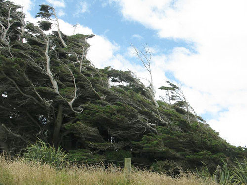 スロープポイント06