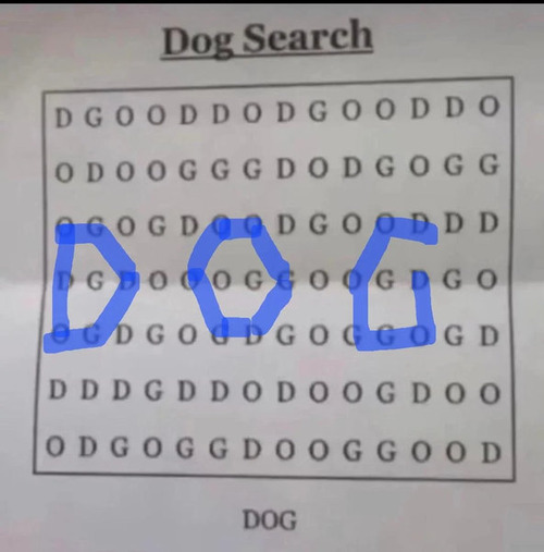 意外にワードサーチでDOGが難しかった05