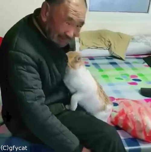 ǭ�Ȥ���������󡢤ȤäƤ����ɤ�03