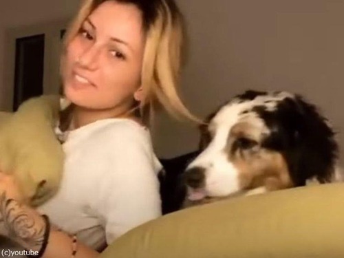 枕になりたい犬…女性が頭を下げると間に入ってくる（動画）
