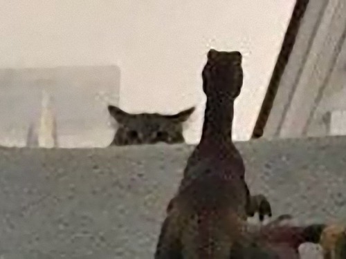 ǭ��2���˾夲�ʤ���ˡ02