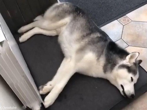 �ϥ���������̴���������01