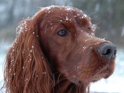 3ɤ�θ�����Ĺ00