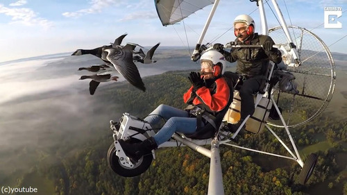 Ļ�Ȱ�������02