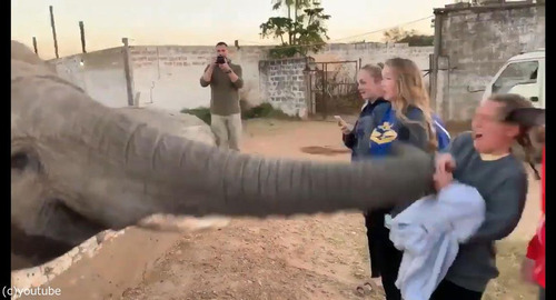 ���ߤ˥����˶�Ť��������04