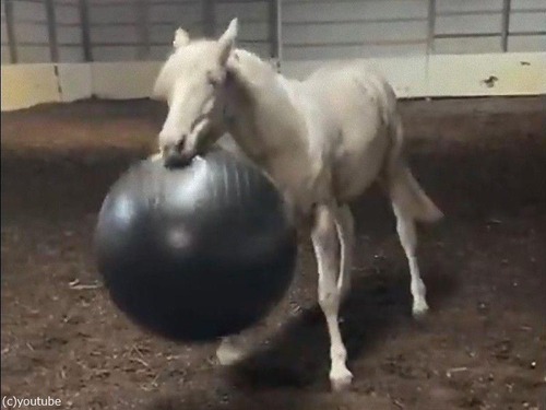 �Ϥȥ������������ܡ���01