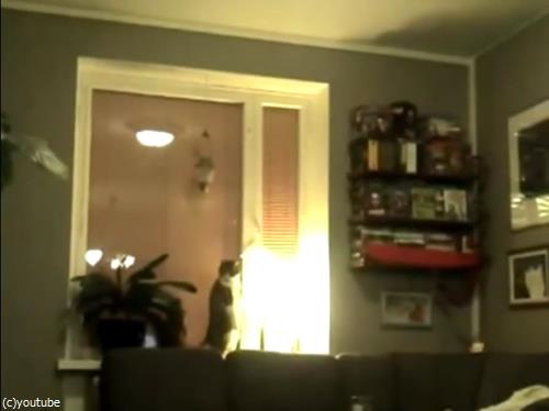 ǤΥ¹¥È¥ì¥Ã¥Á¤ò¤¤¤í¤ó¤Ê³ÑÅÙ¤«¤éį¤á¤Æ¤ß¤¿05