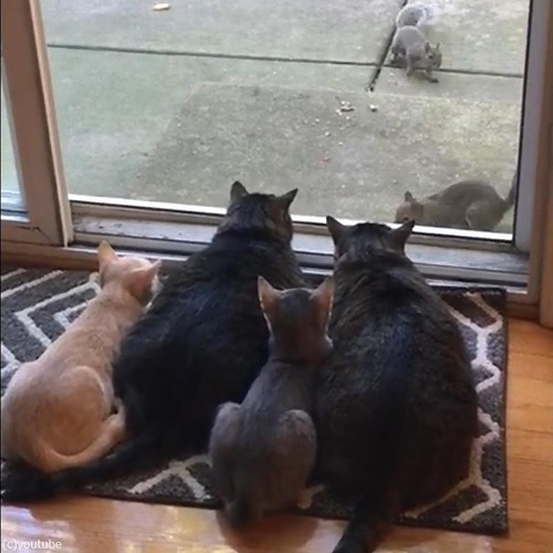 �ꥹ�����ˤʤ�ǭ�ե��ߥ꡼03