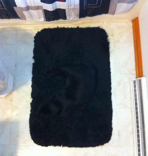 Ƨ�ޤ�䤹��ǭ01