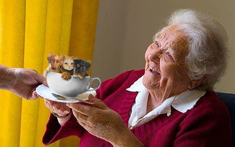 犬に猫マスク23