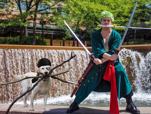 ɬ������Ȥ������ʸ�01