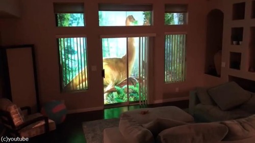 ��ε������̼�Τ���ˤ��㤵�󤬺�ä����֤�����������02