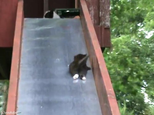 ������������ǭ��������ǭ�Ĥޤ����Υ���04