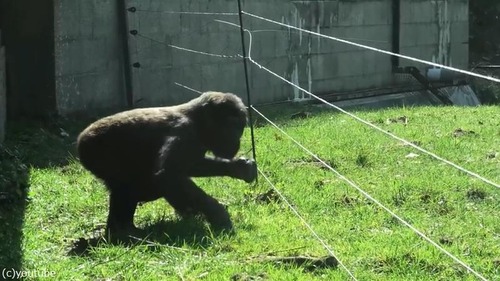 �ŵ�������Ѥˤ�����ȴ���르���01