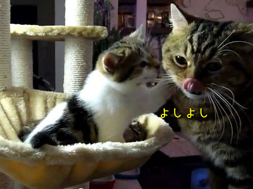 ǭ����ؤ֡����Ȥ��ƤΤդ�ޤ�07