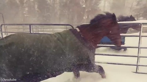 ���������04