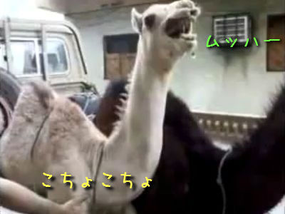 ����������饯��