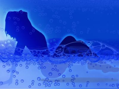 シャワー浴びるときの時間の使い方00