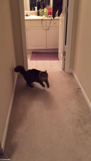 �פȺʤ���ߤ�ǭ��̾����Ƥ֤Ȥ�02