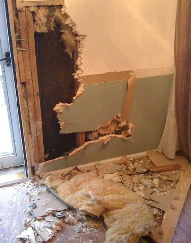 ペットのいたずら22