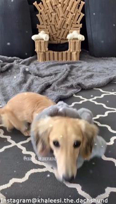 ���줾����ָ��ζˤ�01