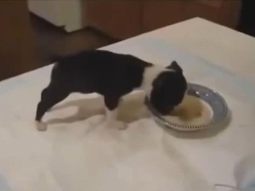 �����򤹤���Τ����Ӥ�Ҹ�00