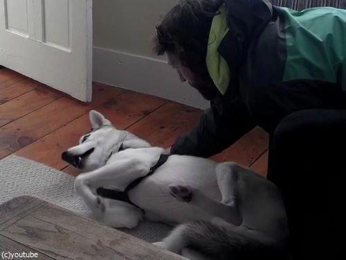 なぜか犬語が理解できるとき01