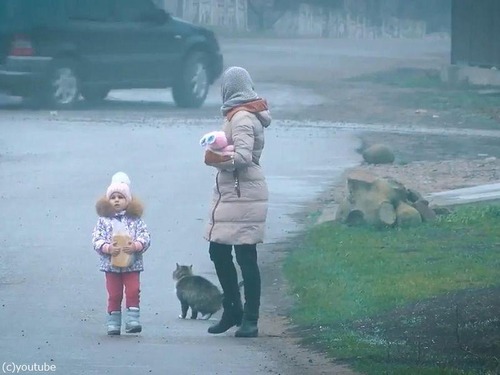背後で猫がスゴ技06