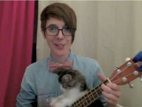 ウクレレ猫01